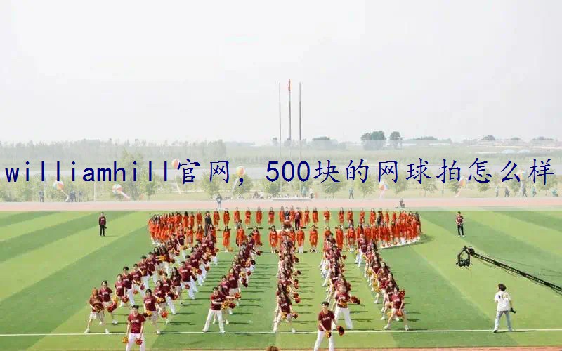 500块的网球拍怎么样