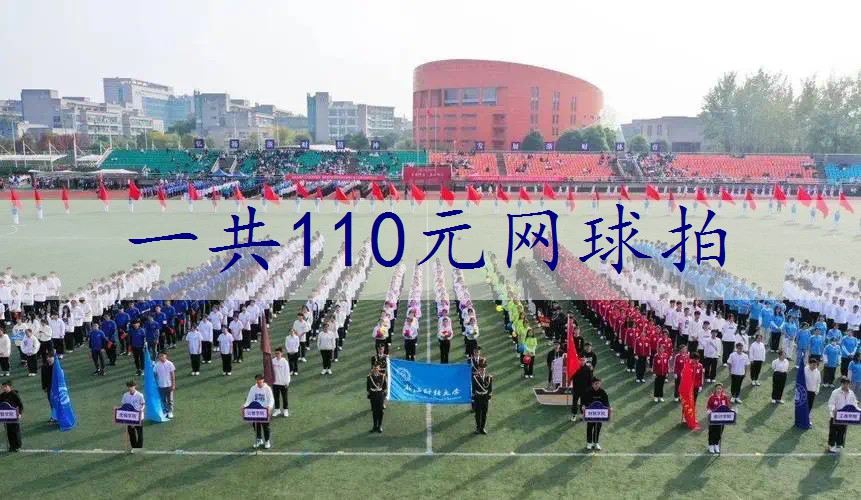 一共110元网球拍