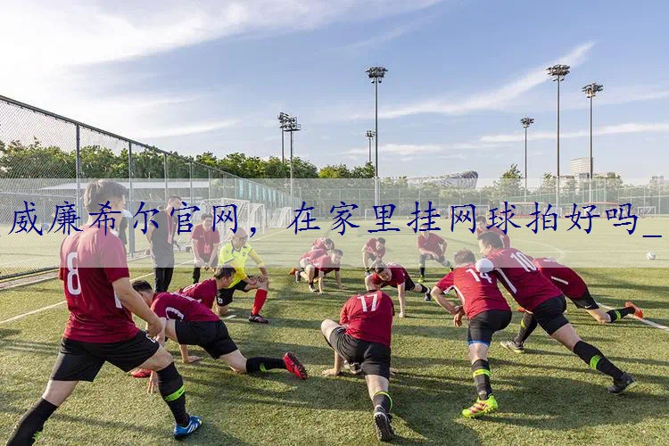 在家里挂网球拍好吗_