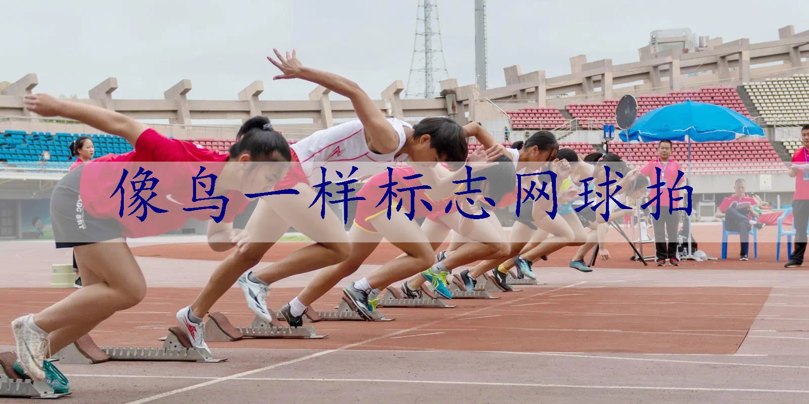 像鸟一样标志网球拍