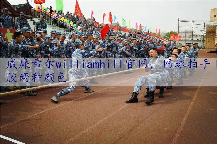 网球拍手胶两种颜色