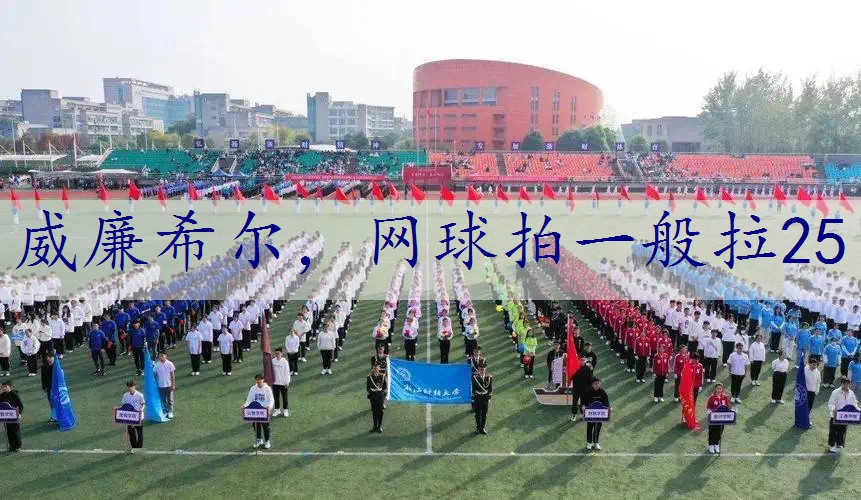 网球拍一般拉25