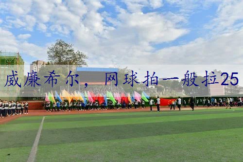 网球拍一般拉25