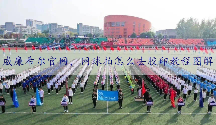 网球拍怎么去胶印教程图解