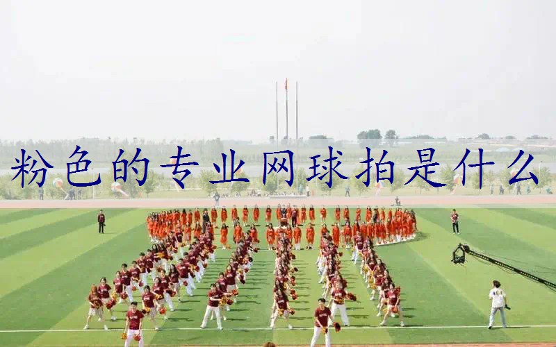 粉色的专业网球拍是什么