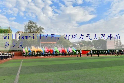 打球力气大网球拍多少克