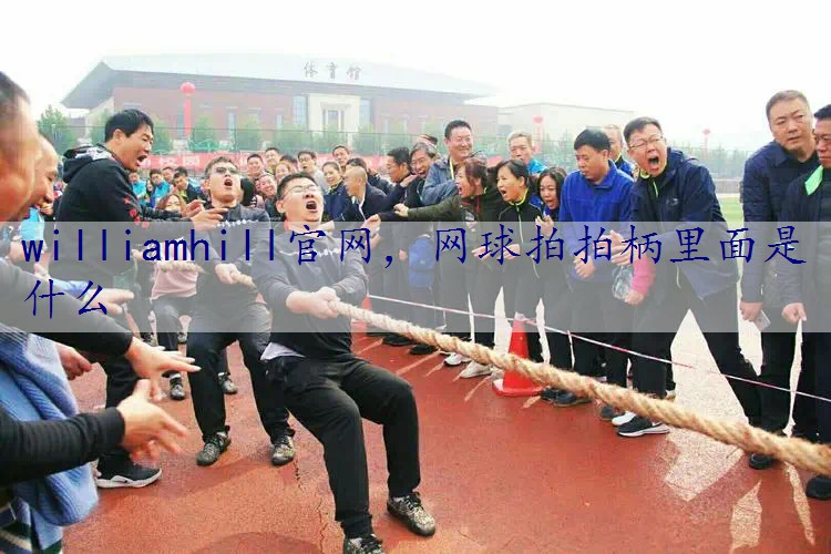网球拍拍柄里面是什么