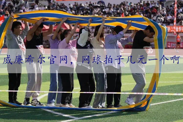 网球拍子几元一个啊