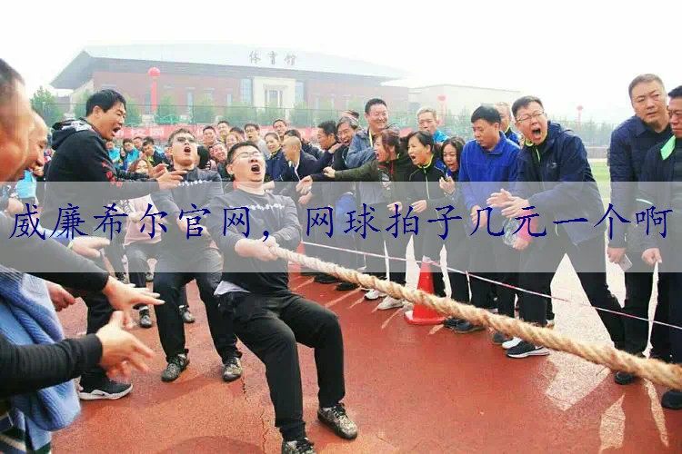 网球拍子几元一个啊