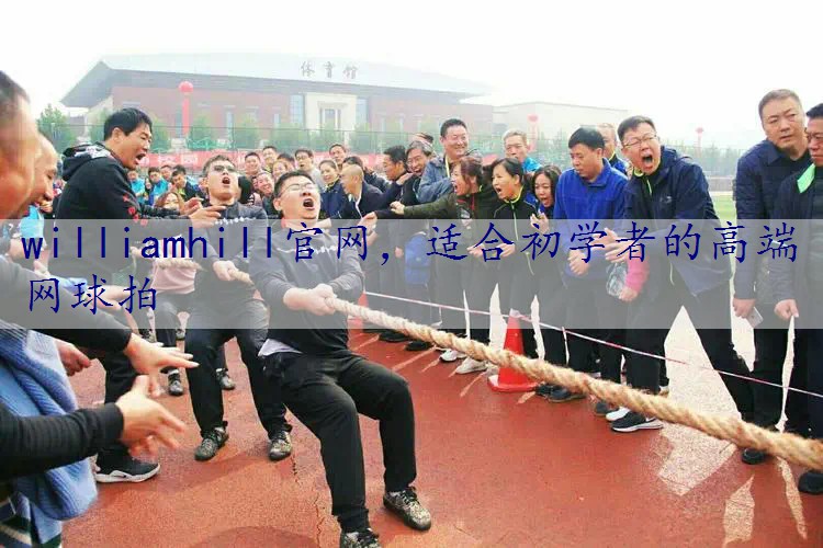 适合初学者的高端网球拍