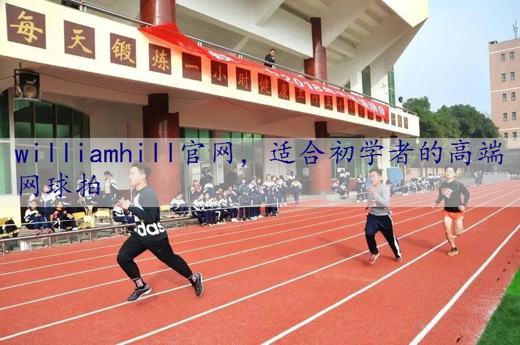 适合初学者的高端网球拍