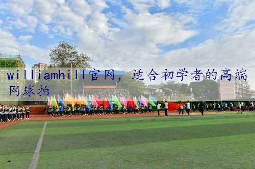 适合初学者的高端网球拍