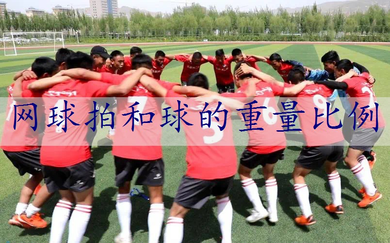网球拍和球的重量比例