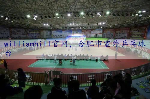 合肥市室外乒乓球台