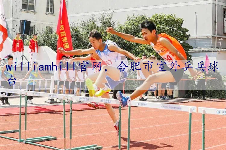 合肥市室外乒乓球台