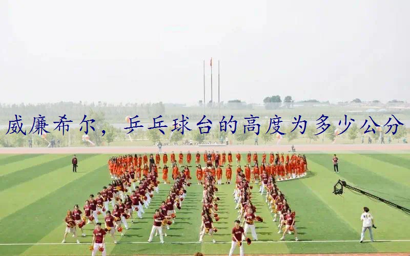 乒乓球台的高度为多少公分