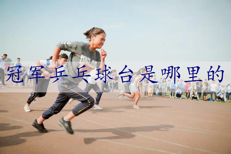 冠军乒乓球台是哪里的