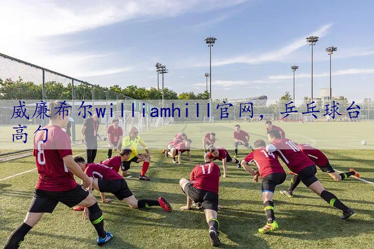 乒乓球台高勹