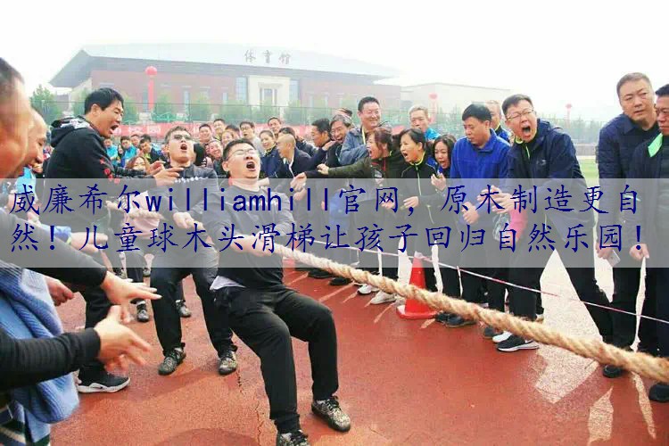 原木制造更自然！儿童球木头滑梯让孩子回归自然乐园！