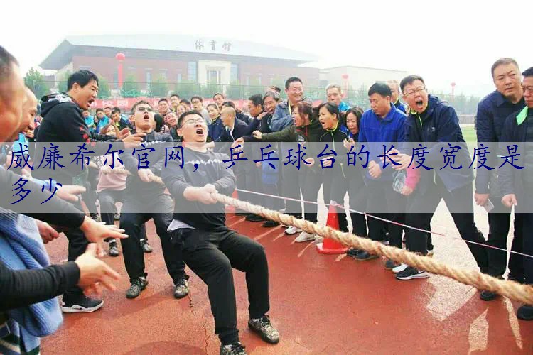 乒乓球台的长度宽度是多少
