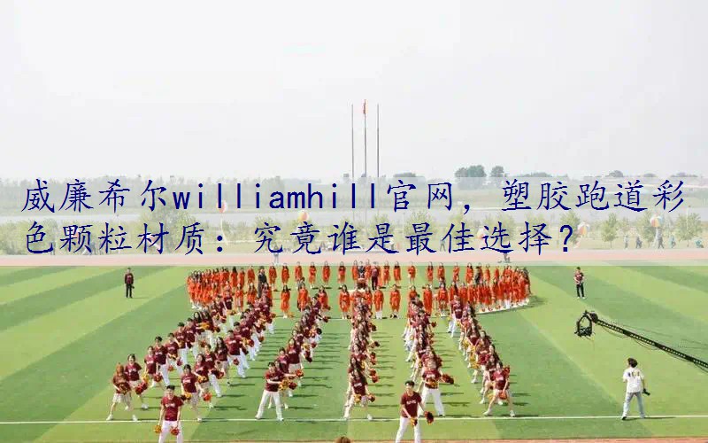 塑胶跑道彩色颗粒材质：究竟谁是最佳选择？