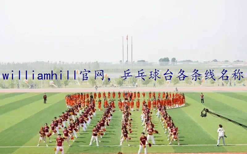 乒乓球台各条线名称