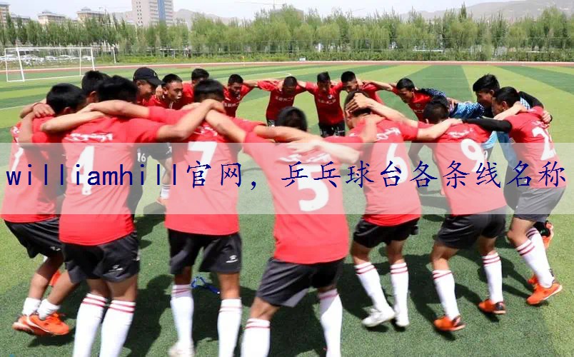 乒乓球台各条线名称