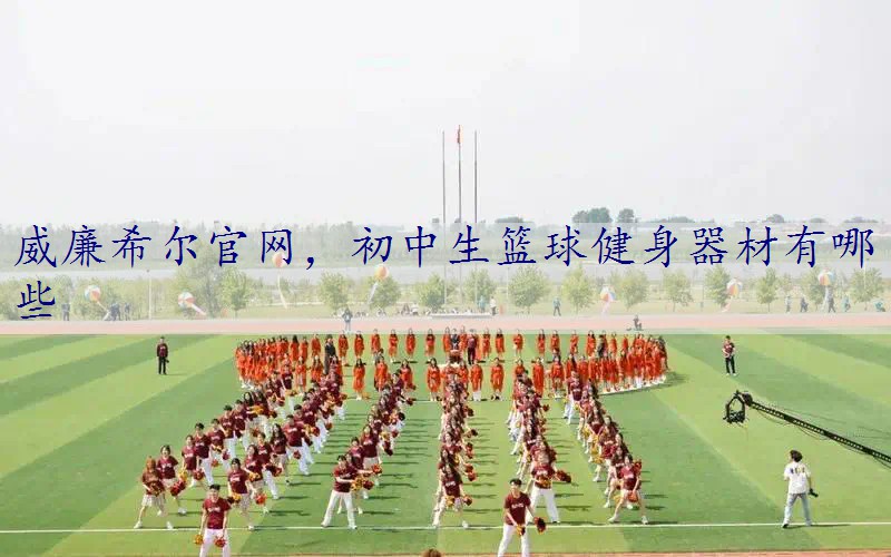 初中生篮球健身器材有哪些